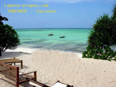 Plage de la tanzanie  Couleur de la mer  Zanzibar