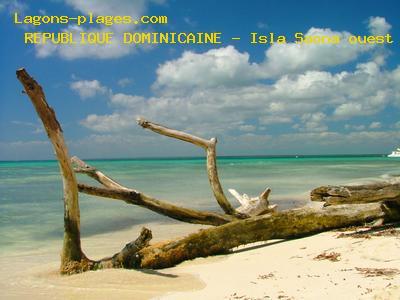 Plage de la REPUBLIQUE DOMINICAINE  Isla Saona ouest