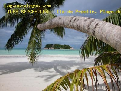 Plage des SEYCHELLES  Ile de Praslin, Plage de Cote d'Or face  l'le chauve souris