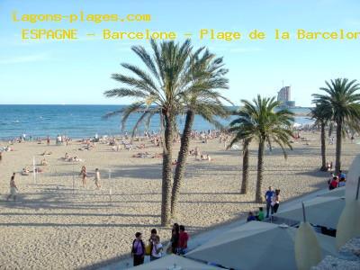 Plage de L' espagne  Barcelone - Plage de la Barceloneta