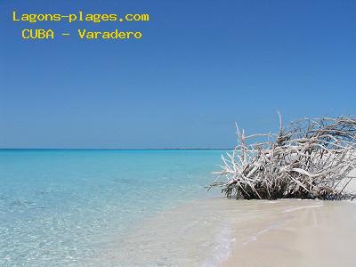 Plage de cuba  Varadero, dcor de rve