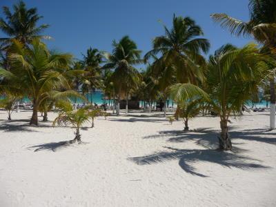 Plages de Plage Paraiso, MEXIQUE