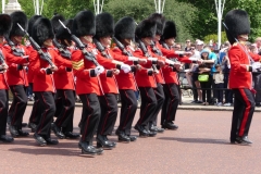 Londres, Buckingham Palace, relève de la garde