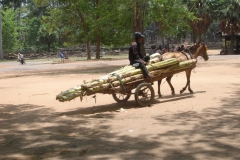 Cambodge