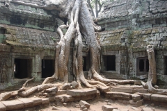 Cambodge, Angkor Vat / Angkor Tom