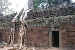 Cambodge, Angkor Vat / Angkor Tom