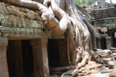 Cambodge, Angkor Vat / Angkor Tom