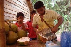 Cambodge, Noix de coco