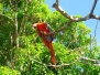 Guyane Française