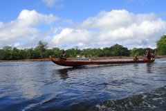 Guyane, Fleuve Maroni