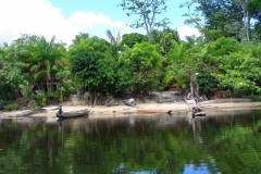 Guyane, Fleuve Maroni