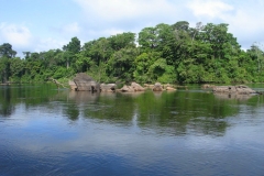 Guyane, Fleuve Maroni