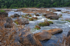 Guyane, Fleuve Maroni