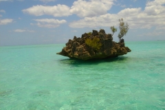 Ile Maurice, île aux bénitiers, lagon mauricien, bleu turquoise