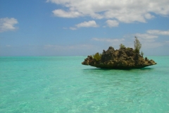 Ile Maurice, île aux bénitiers, lagon mauricien, bleu turquoise