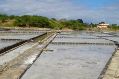 Ile Maurice, Tamarin, marais salants