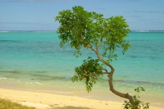 Ile Maurice, Morne Brabant, plage, lagon, turquoise