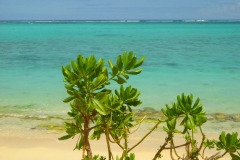 Ile Maurice, Morne Brabant, plage, lagon, turquoise