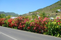 Ile Maurice, Morne Brabant