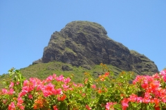 Ile Maurice, Morne Brabant