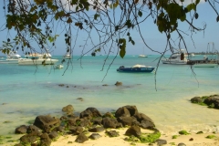 Ile Maurice, Pointe aux piments, bateau