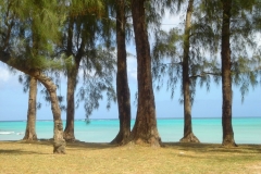 Ile Maurice, Mont Choisy, plage, lagon