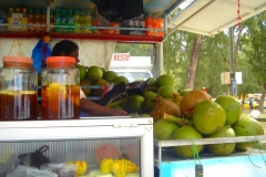 Ile Maurice, Mont Choisy, camion, cuisine, déjeuner