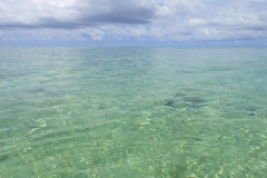 Ile Maurice, lagon île aux Cerfs