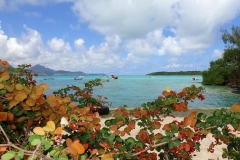 Ile Maurice, lagon Pointe Jérome Blue bay