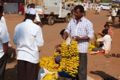 Badami, Inde, fleur