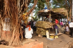 Bombay, Mumbai, Inde, canne à sucre