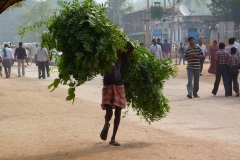 Hampi, Inde, homme