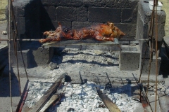 Ile de La Réunion, cochon