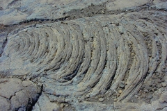 Ile de La Réunion, Piton de la Fournaise, volcan