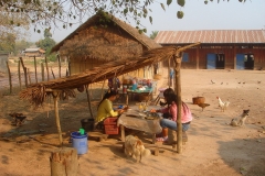 Laos, campagne