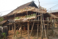 Laos, campagne