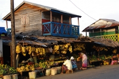 Madagascar, fruits