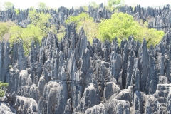 Madagascar, tsingy