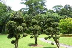 Malaisie, jardin