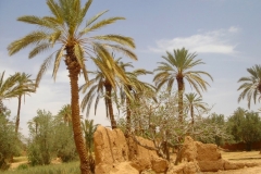 Maroc, Grand sud, Tinghir