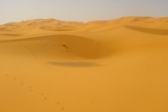 Maroc, Grand sud, Dune de Merzouga