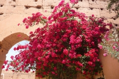 Maroc, Marrakech, Palais El Badiî