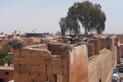 Maroc, Marrakech, Palais El Badiî, cigogne