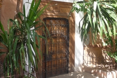 Maroc, Marrakech, jardin Majorelle