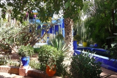 Maroc, Marrakech, jardin Majorelle