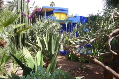 Maroc, Marrakech, jardin Majorelle