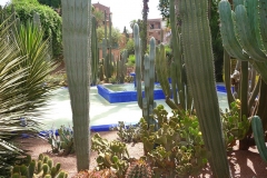 Maroc, Marrakech, jardin Majorelle