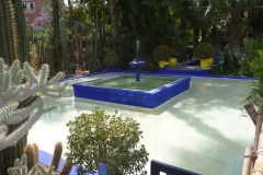 Maroc, Marrakech, jardin Majorelle