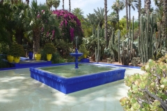 Maroc, Marrakech, jardin Majorelle