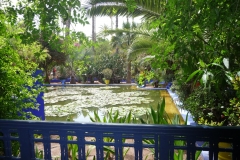 Maroc, Marrakech, jardin Majorelle